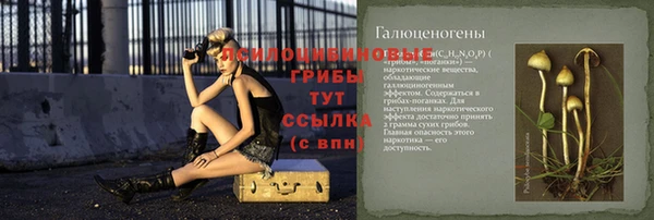 крисы Алзамай