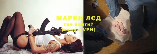 крисы Алзамай