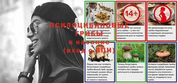 амф Алексин