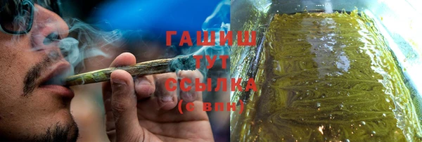 крисы Алзамай