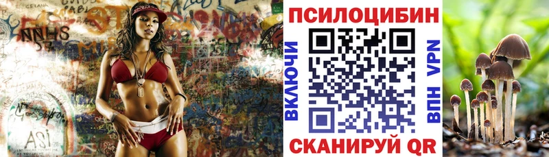 Галлюциногенные грибы MAGIC MUSHROOMS  Курлово 